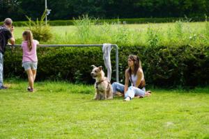 D-dsc06049_51350044657_o
