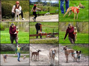WaltershofenTraining10.AprilTeil7